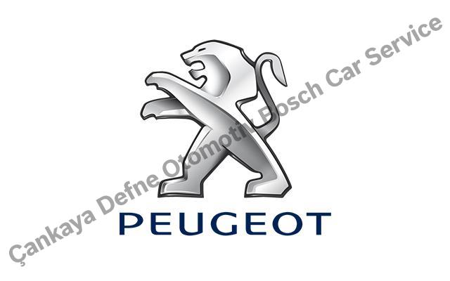 Ankara Peugeot Servisi